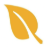 Grove Properties