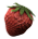 Growshop cz