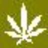 Growshop Balaguera