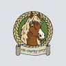Grumpy Pony Hobby Shop