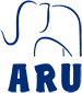 ARU Obras y Servicios, S.L.