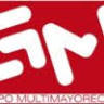 Grupo Multimayoreo S.A. GMM