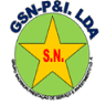 GSN-P & I, LDA