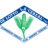 DE LOTTO LA CEREAL SRL