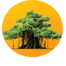 GSFC University