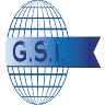 G.S.I. Global Service International Srl