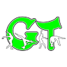 G T Performance Gymnastics And Cheer