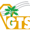 Golden Triangle Shows