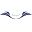 Guardian Property & Asset Management