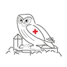 Greifvogel Flugschau - Pflegezentrum