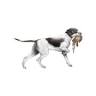 Gundog Estate