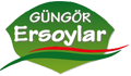 Güngör Ersoylar Fabrika