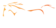 Gunnamatta Trail Rides