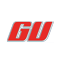 GV Window Tinting
