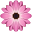 Gynelav, s.r.o.