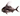 Gyotaku by Brett Swindell