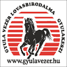 Gyula Vezér Lovasbirodalma