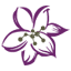 Haddonfield Dermatology Associates