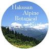 Hakusan Alpine Plants Botanical Garden Carpark