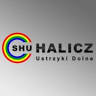 Dom handlowy ,,Halicz