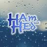 HamHed, LLC