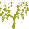 Weingut Hammer-Sommer - Neustadt-Königsbach