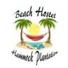 Hammock Plantation (hostel)