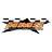 Hammond Motorsports