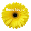 Hanatsuru Flower Shop