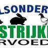 Handelsonderneming Strijker