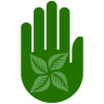 Hands-On Health Massage & Physical Therapy