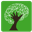 handverstand - Seestadt / Breathwork, Cranio, Massage