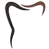 Hansen Family Dental