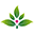 Happy Herbals Ayurvedic Shop