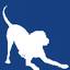 Happy Tails Animal Hospital