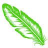 Harakapesa