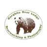 Harghita Bear Lodge
