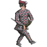 The Harlequin