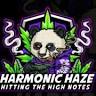 Harmonic Haze Cannabis Dispensary