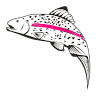 Harrietta Hills Trout Farm