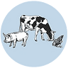 Hartington Farm Shop & Cafe