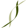 Hart & Patterson Financial Group