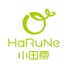 HaRuNe Odawara