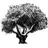 The Harvard Conservation Trust