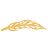 Harvest Bible Church