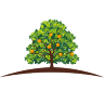 Harvest Wealth Group
