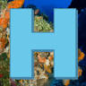 Hatts' Diving Headquarters, Inc.