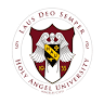 Holy Angel University