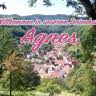 Ferienhaus Agnes