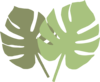 Haven Healing Collective